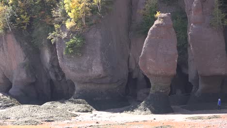 Los-Turistas-De-Canadá-Se-Ven-Pequeños-En-Forma-De-Relieve-Ondulado-En-Las-Rocas-De-Hopewell