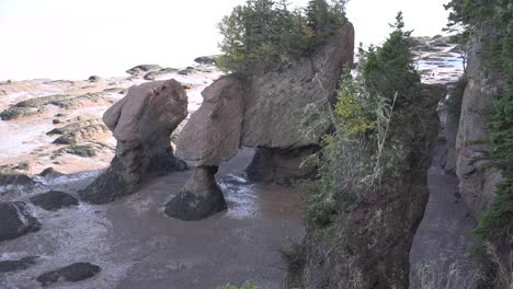 Kanada-Blick-Nach-Unten-Bei-Hopewell-Rocks