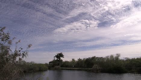 Everglades-De-Florida-Cielo-Interesante-Con-Nubes-De-Altitud-Media-Y-Alta