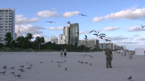 Florida-Miami-Beach-Ein-Mann-Geht-Den-Strand-Entlang-Mit-Möwen,-Die-über-Uns-Fliegen