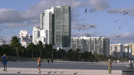 Miami-Beach-Vögel-Fliegen-über-Den-Strand-Mit-Hotels-Jenseits-Der-4k