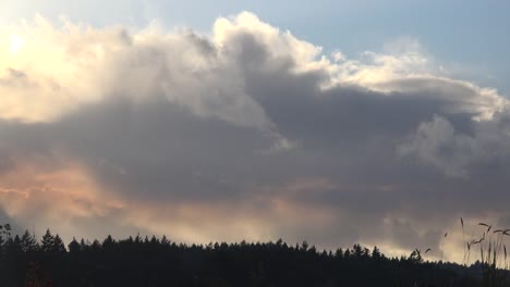 Oregon-Cloud-Bank-Driftet-Westlich-An-Der-Baumgrenze-Vorbei