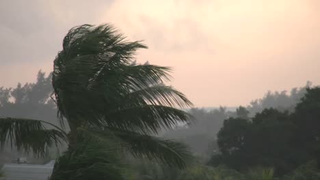 Florida-Key-West-Regen-Bei-Sonnenuntergang-Mit-Palmen-Im-Wind
