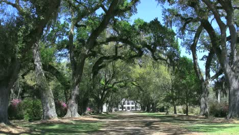 Louisiana-Rosedown-Plantage-Haus-In-Der-Ferne