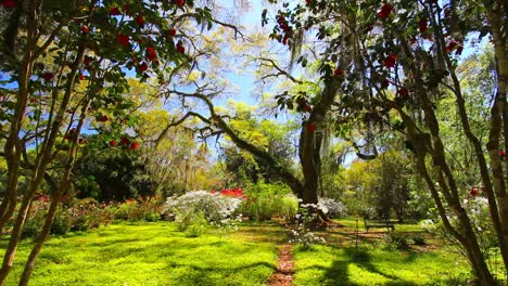 Louisiana-Rosedown-Plantage-Gärten-Eichen-Und-Azaleen