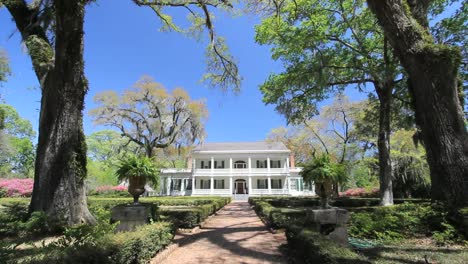 Louisiana-Rosedown-Plantation-House-Framed-In-Trees