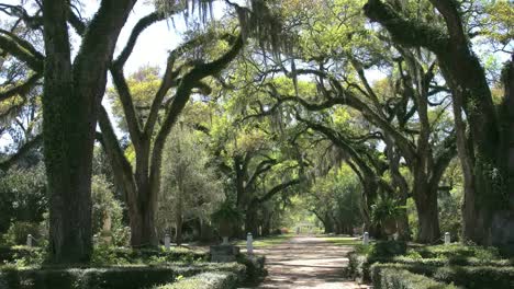 Louisiana-Rosedown-Plantage-Mit-Blick-Auf-Die-Eichenallee