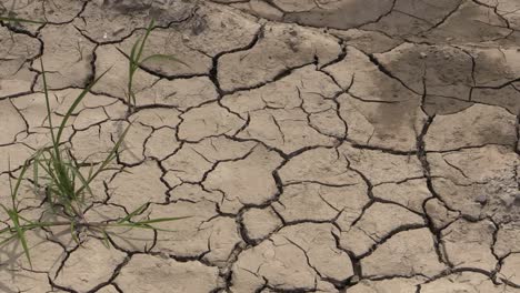 Louisiana-Dried-Mud