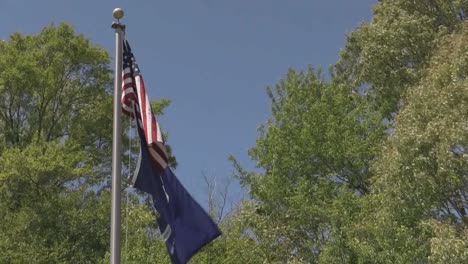 Louisiana-Flag-And-Us-Flag