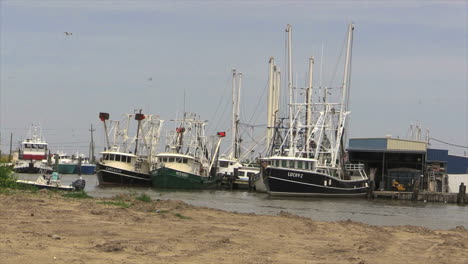 Louisiana-Shrimp-Boats-Small-Fishing-Boat-And-Birds