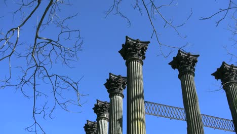 Mississippi-Windsor-Plantation-Ruins-And-Branches