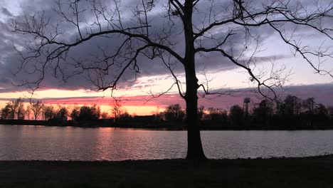 Tennessee-Reelfoot-Lake-Tree-Und-Sonnenuntergang