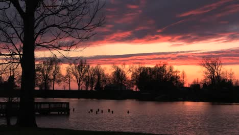 Tennessee-Reelfoot-Lake-Heller-Sonnenuntergang-Mit-Baum