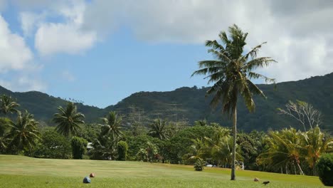 Amerikanisch-samoa-Golfplatz-Und-Palm