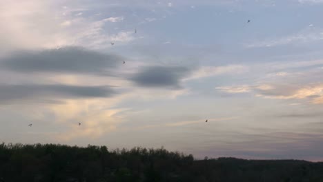 Arkansas-Evening-Clouds-And-Flying-Insects
