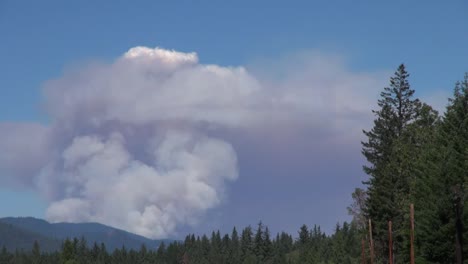 Kalifornien-Wogender-Rauch-Zeitraffer-Smoke