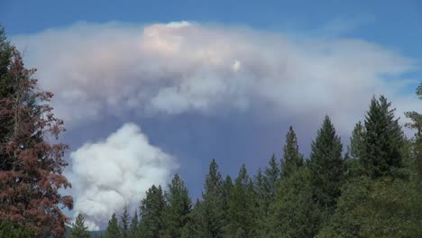 California-Double-Smoke-Cloud