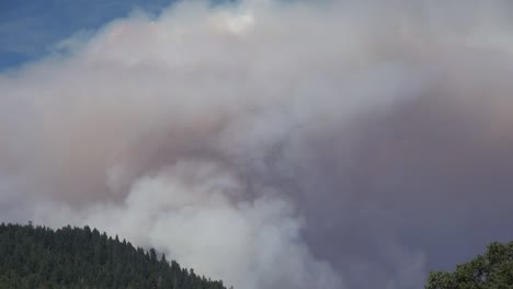 California-Se-Aleja-De-La-Nube-De-Humo