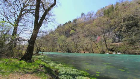 Missouri-Current-River-With-Trees-On-Bank-At-Big-Spring