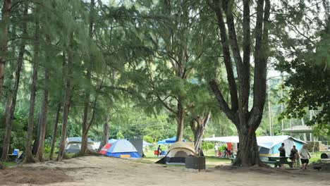 Oahu-Kahana-Bay-Camping