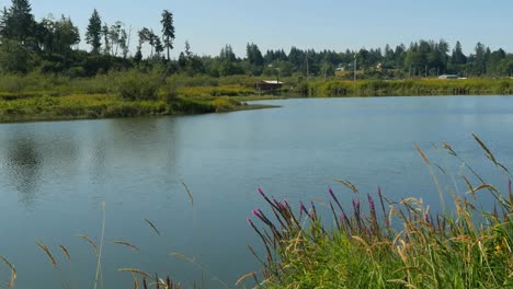 Vista-Del-Remanso-Del-Río-Oregon-Columbia