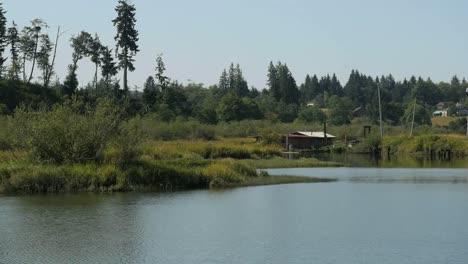 Oregon-Columbia-River-Backwater-With-Fishing-Camp
