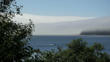 Oregon-Tillamook-Bay-Mist-Enmarcada-En-Vegetación