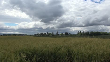 Oregon-Clouds-Loom-Over-Wheat-Field