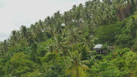 Samoa-Haus-Auf-Hügel-Mit-Palmen