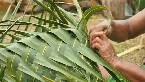 Samoa-Man-Weaving-Palm-Leaves
