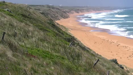Australia-Great-Ocean-Road-Logans-Beach-With-Windy-Grass