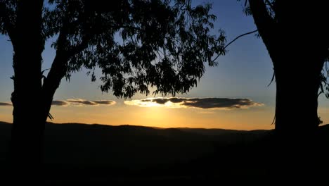 Australia-Mt-Bellevue-Sol-Y-árbol-Con-Nubes