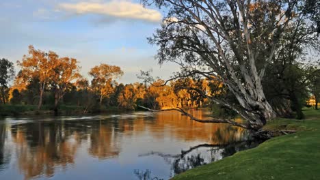 Australien-Murray-River-Bei-Albury-Zwischen-Bäumen