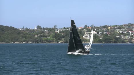 Australien-Sydney-Schwarze-Segel-Auf-Segelboot