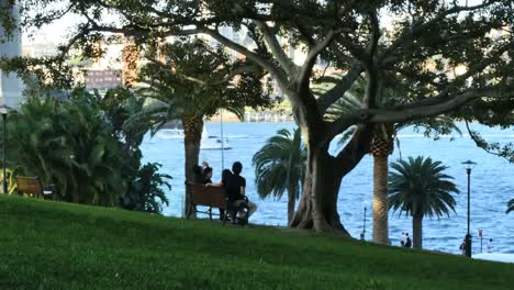 Australien-Sydney-Parkbank-Und-Hafen