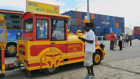 Nueva-Caledonia-Noumea-Hombre-con-tren-turístico