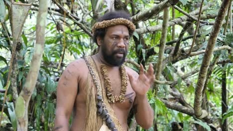 Vanuatu-Zeigt-Heilpflanze