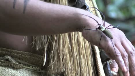 Vanuatu-Spider-On-Hand