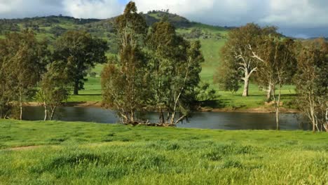 Australien-Murray-River-In-Grüner-Landschaft-Pan