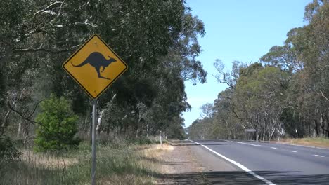 Camino-De-Australia-Con-Signo-De-Canguro-Se-Acerca