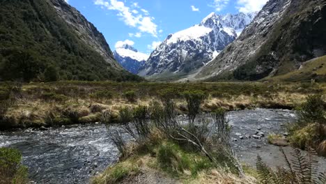 El-Río-Fiordland-De-Nueva-Zelanda-Fluye-Más-Allá-De-Bush