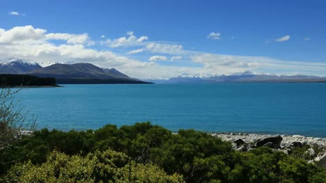 New-Zealand-Lake-Pukaki-Foreground-Shrubs