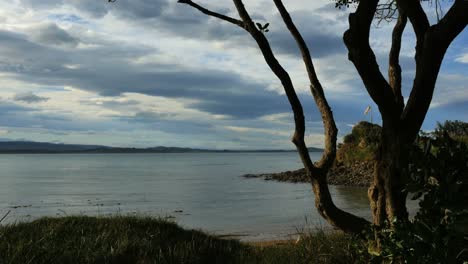 Neuseeland-Moeraki-Küstenblick