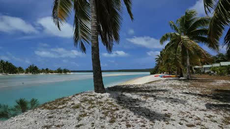 Aitutaki-Strandpalme-Und-Schatten-Durch-Den-Kanal-Zur-Lagune