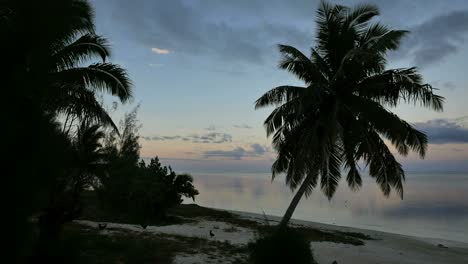 Aitutaki-Am-Frühen-Morgen-Mit-Hühnern-Am-Strand