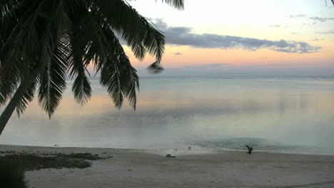 Aitutaki-Morgenlagune-Mit-Vögeln,-Die-über-Wasser-Fliegen