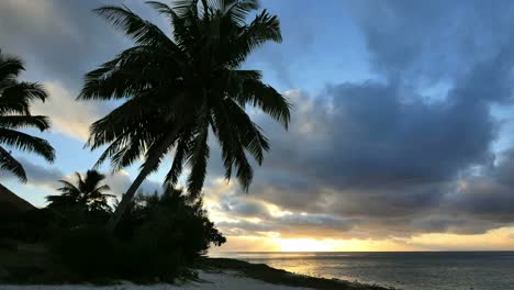 Aitutaki-Palma-En-La-Noche-Con-Sol-Detrás-De-La-Nube