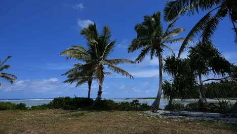 Aitutaki-Palmen-Unter-Blauem-Himmel-Vom-Kanal-Zum-Riff-Re