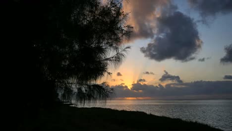Aitutaki-Sonnenuntergang-Mit-Wolke,-Uferkiefer-Und-Lagune