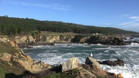 California-Gerstle-Cove-Waves-And-Bay-At-Salt-Point-State-Park